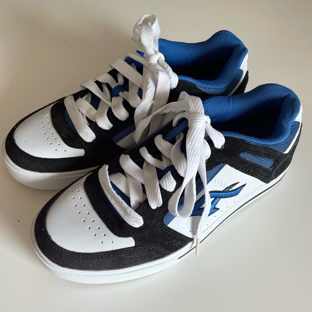 Air Speed Mike Mgill Epic skate shoes